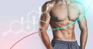 Quá trình sản xuất testosterone chi tiết